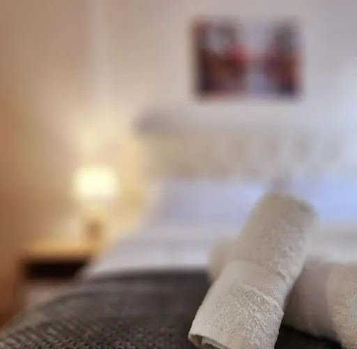 Toptani Deluxe Flat W 24h Check In