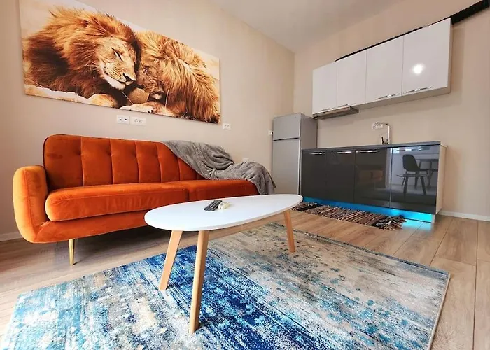 Toptani Deluxe Flat W 24h Check In Lägenhet Tirana